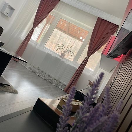 Aky Residence Слэник-Молдова Экстерьер фото