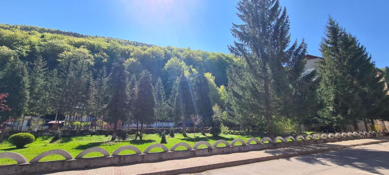 Aky Residence Слэник-Молдова Экстерьер фото