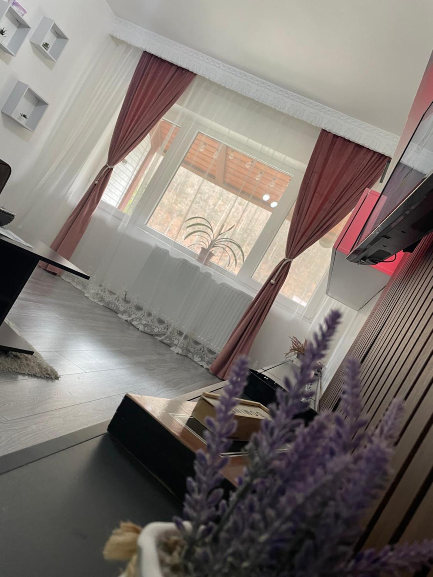 Aky Residence Слэник-Молдова Экстерьер фото